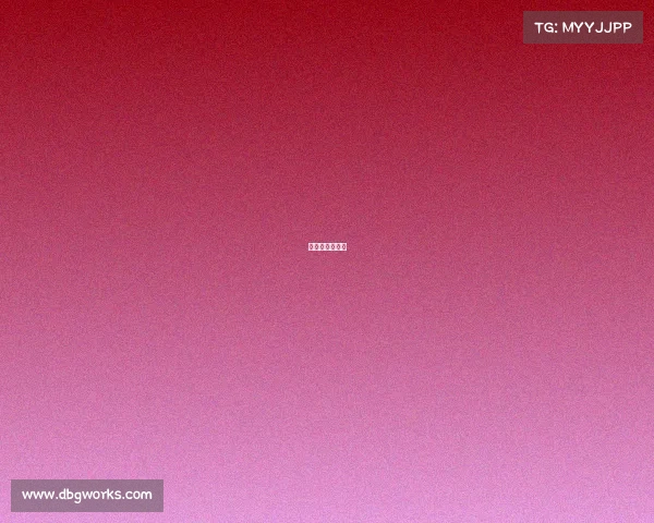 哈尔滨赛车比赛